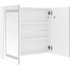 Veidrodinė vonios spintelė su LED apšvietimu, 80x12,2x68cm