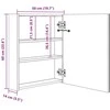 Veidrodinė vonios spintelė su LED apšvietimu, 50x13,5x60 cm