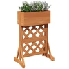 Vertikalus sodinimo trellis Oranžinė 48 x 30 x 70,5 cm