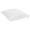 Žiemos antklodė su pagalve 3 pcs Balta Mikropluoštas 3377829
