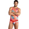 Anais Men Accesories Anais Men Falcon Top L - Lycra Men’s Briefs with Banana Print, Large