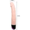 LYBAILE Mutil-speed vibrator Violetinė TPR Material