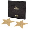 Bijoux Flash Collection Bijoux Indiscrets Flash Golden Star Body Decorations - Reusable Gold Covers