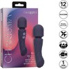 Calexotics Charisma Allure_