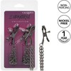 CalExotics Euphoria Adjustable Chain Nipple Clamps 14.5 cm Nickel-Free
