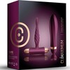 Climaximum Dare Kit Twisted Vibrator &amp; Entry-Level Anal Priedas Set