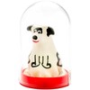 Condomerie Hand-Painted Decorative Latex Cover Dalmatian Dog Motif