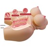 CRAZY BULL Grace Anatomical Female Torso 7.5kg Dual Channel TPR Model