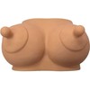 DIABLO PICANTE Decorative Light-Toned Bust Coin Bank - Durable Rubber, Large Capacity