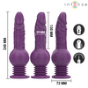 Intense Fun INTENSE Tatum Multifunction Up &amp; Down Motion Vibrator 24cm Violetinė