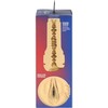 Kiiroo FeelRachel Starr Intimate Machine Stars Collection, 223mm, TPE