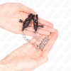 Kink Nipple Grip KINK Flat Chain Nipple Clamps Sidabrinis 30cm - Adjustable Metal Model