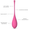 LESLIE Kegel Fit Set - 6-Weight Pelvic Floor Muscle Trainer, Silicone