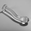 Ibiza Nebula Series Model 18 Intimate Glass Device Clear 18.5cm
