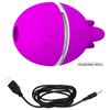 Pretty Love Flirtation Pretty Love Gemini Ball Violetinė Silicone Intimate Massager with Pulsation