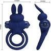 Pretty Love Male Mėlyna Pretty Love Darey Mėlyna Duo Vibrating Intimate System - 10 Modes, Rabbit Shape
