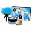 Shunga Edible Coconut Massage Powder Kit 75g - Sensual Body Care Set