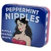 Spencer Fleetwood Funtime Peppermint Candy Discs Sugar-Free 45g Embossed Tin