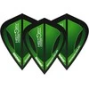 Sparneliai Winmau Brendan Dolan Kite