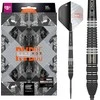 Strėlytės Target Raymond van Barneveld Echo 95% Swiss, 21 gramo