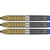 Strėlytės Target Raymond van Barneveld G6 95% Swiss, 21 gramo