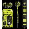 Strėlytės Winmau Ambition MvG Design, 24 g