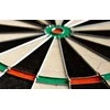 Smiginio taikinys Winmau Diamond Wired