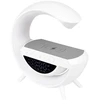NULL Radijas, laikrodis, įkroviklis, garsiakalbis, LED lempa RGB 5 W 225 mm
