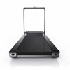 Kingsmith WalkingPad X23 sulankstomas bėgimo takelis 16km/h