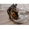 Automātiskā dzirdne dzīvniekiem - Placek Cat Epic Pet Aqua ball water dispenser 2.8l/ 30cm