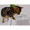 Automātiskā dzirdne dzīvniekiem - Placek Cat Epic Pet Zen water drinking fountain 2.4l/20cm