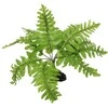 Dekors terārijam : Repti Planet Nephrolepis fern, 20 cm