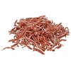 Trixie PREMIO Carpaccio delikatesas, antis ir žuvis, 80g (TX-31804)