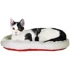 Trixie LOVA LOVA 45X30 BALTA - RAUDONA