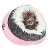 Trixie LANGOVISKO "MINOU" ROW / SHARY