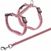 TRIXIE Kačių petnešos su pavadėliu, atspind., metal. sagtys, 22-42 cm-10 mm, 1.20 m
