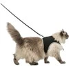Trixie Katės su pavadėliu, XXL, 36-54 cm, 1,20 m, juoda