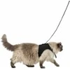 Trixie Katės su pavadėliu, XXL, 36-54 cm, 1,20 m, juoda