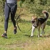 Trixie Klubo diržas su pavadėliu vidutinio dydžio ir dideliems šunims - Raudona
