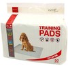 Placek Absorbējošie paladziņi : Dog Fantasy Training Pads, 90 x 60 cm : 50 gb