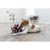 Trixie Dog Activity Sniffing Ball, uostymo žaislas, šuniui, dia. 15 cm