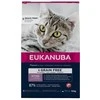 EUKANUBA begrūdis Kitten lašiša, 10 kg