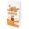 IAMS sausas pašaras naminėms katėms su vištiena, 2kg