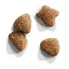 IAMS Adult Cat (ėriena) 10kg