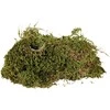 Trixie Moss, substratas drėgniems terariumams, 200 g