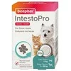 Vitamīnizēta papildbarība - Beaphar INTESTOPRO TAB S DOG/CAT 20tab