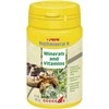 Sera Reptimineral H 100ml žolėdžių reptilijų vitaminai