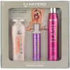 Artero Cosmetic Pack Yorkshire Terrier – Complete Coat Care Set for Long-Haired Breeds