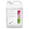 Botaniqa Active Line Sleek It Up Coat Mask – Lygus koncentratas ilgiems, šilkiniams kailiams, 4L