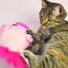 Dashi Fini Plush Squeaker Toy 20cm – Minkštas rožinis padaras, patvarus ir įtraukiantis